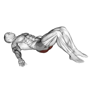 Glute Bridge — movement demonstration