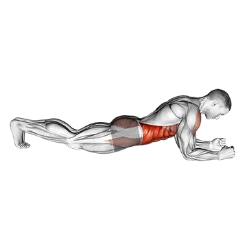 Plank — movement demonstration