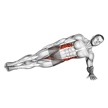 Side Plank — movement demonstration